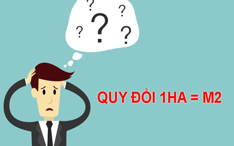 1 Ha bằng bao nhiêu M2 1 Ha bằng bao nhiêu M2